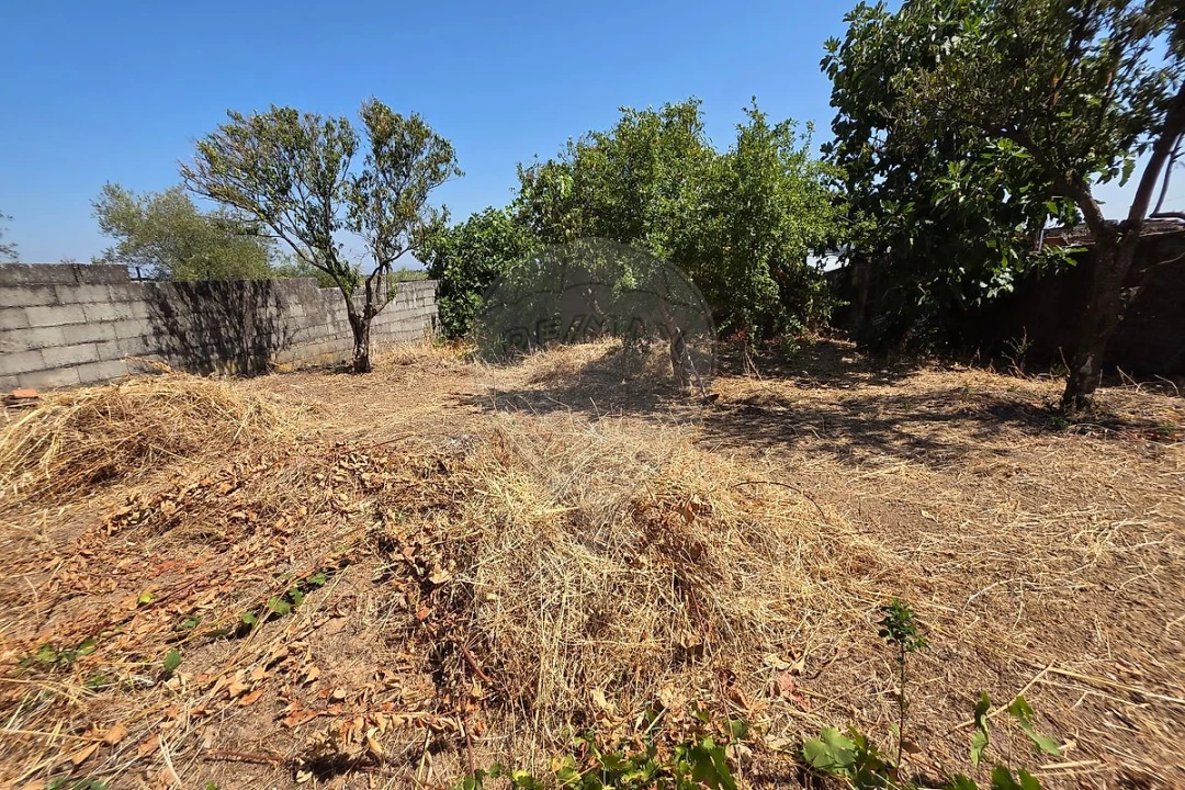 Moradia T4 para Venda em Monforte da Beira Foto 2