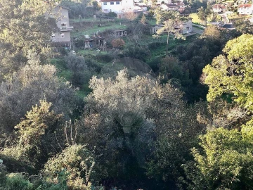 Terreno para Venda em Melres e Medas