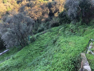 Terreno para Venda em Melres e Medas