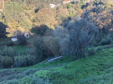 Terreno para Venda em Melres e Medas