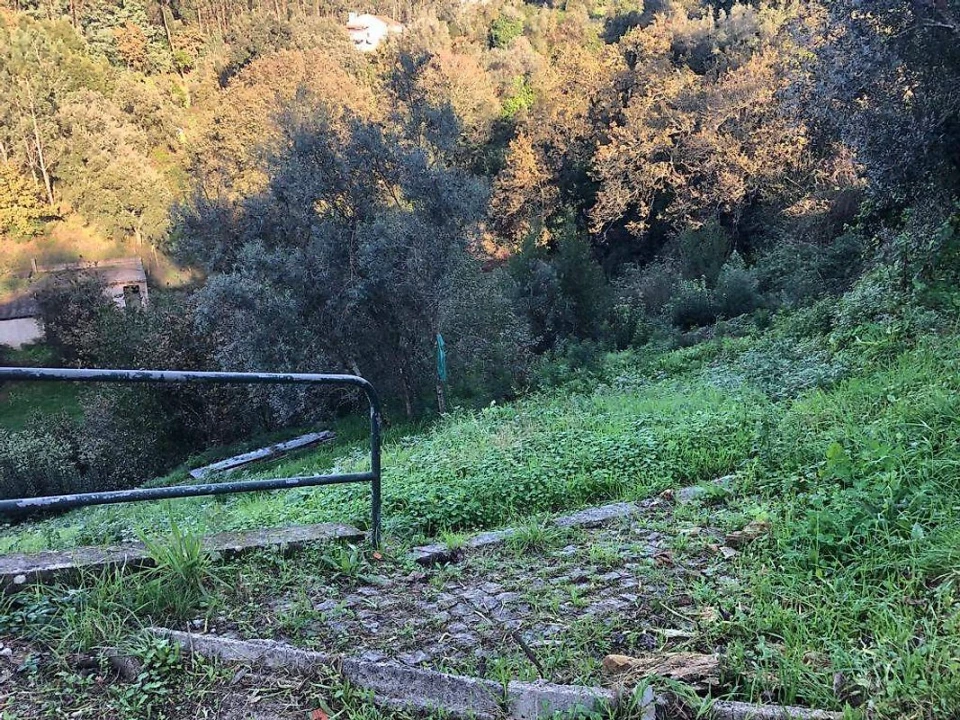 Terreno para Venda em Melres e Medas Foto 4