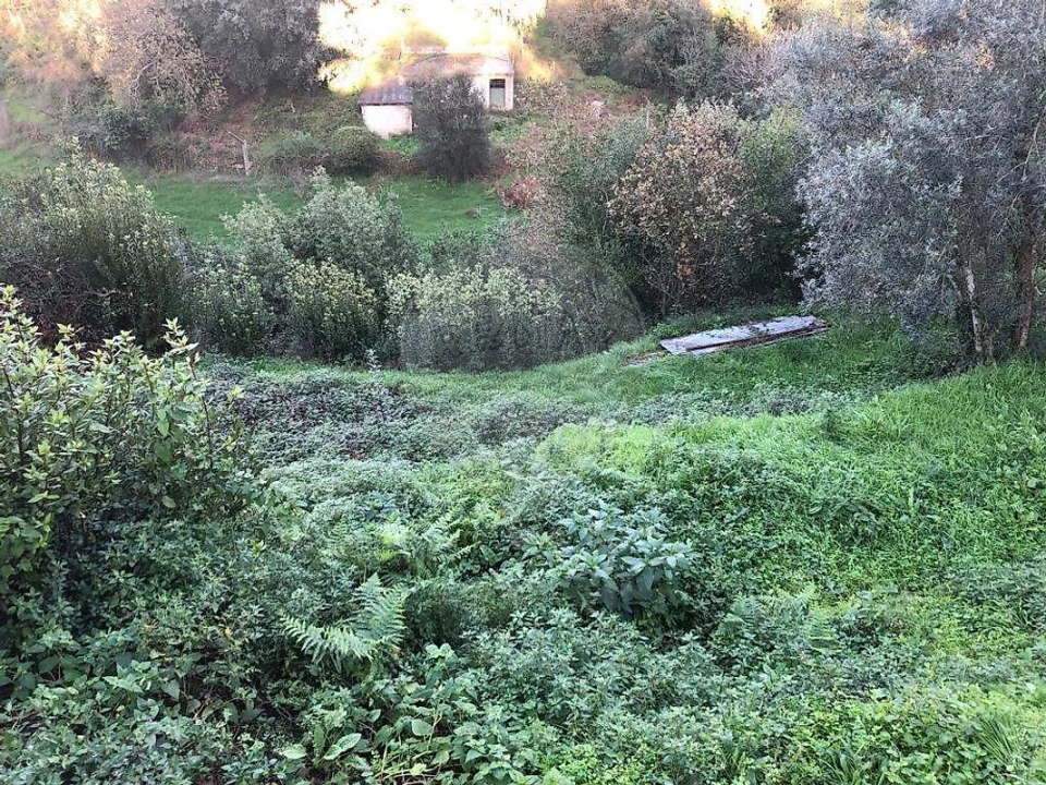 Terreno para Venda em Melres e Medas Foto 1