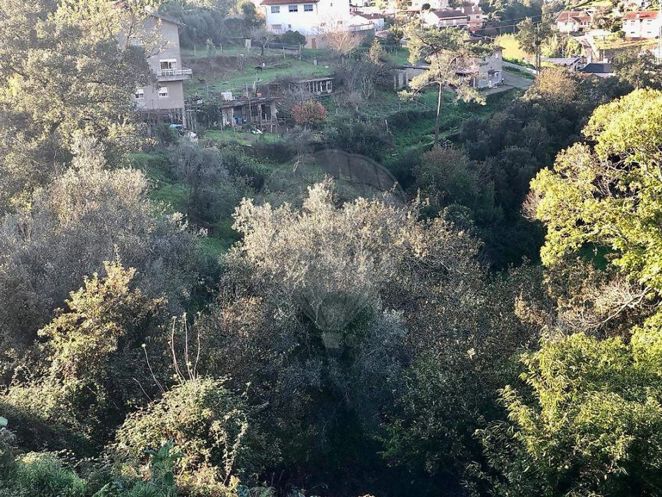 Terreno para Venda em Melres e Medas Foto 2