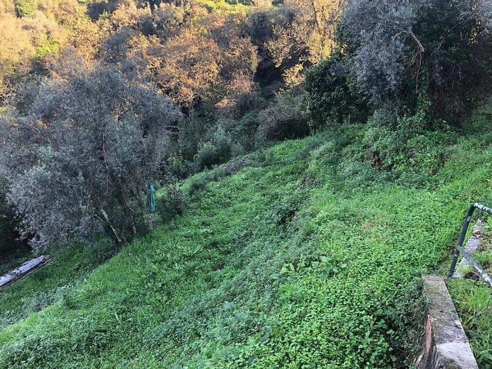 Terreno para Venda em Melres e Medas Foto 3
