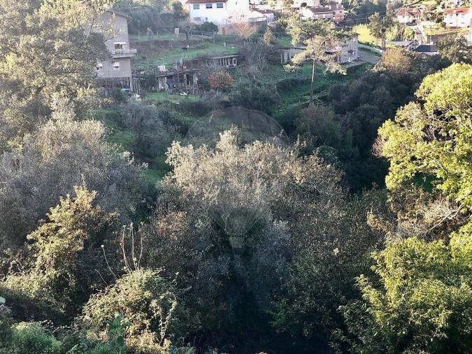 Terreno para Venda em Melres e Medas Foto 2