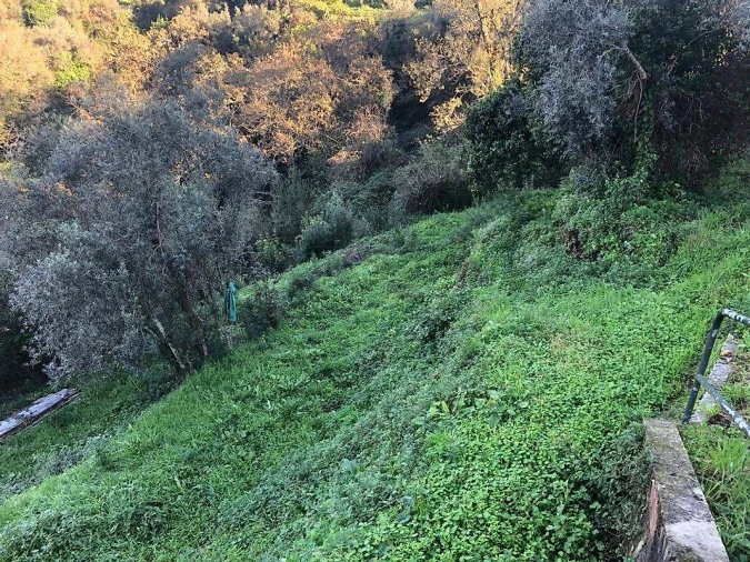 Terreno para Venda em Melres e Medas Foto 3