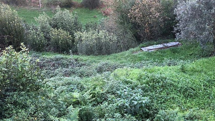 Terreno para Venda em Melres e Medas