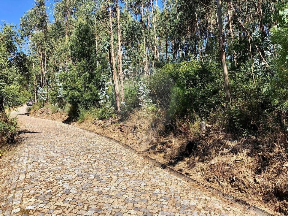 Terreno para Venda em Melres e Medas Foto 1