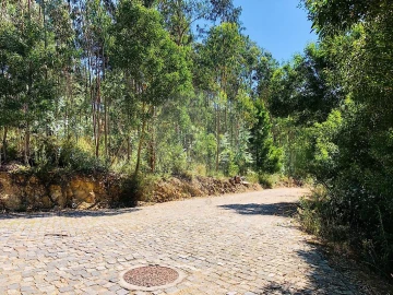 Terreno para Venda em Melres e Medas