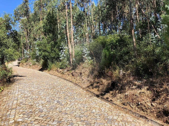 Terreno para Venda em Melres e Medas Foto 2