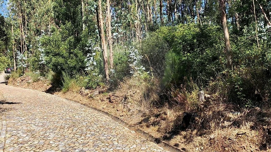 Terreno para Venda em Melres e Medas