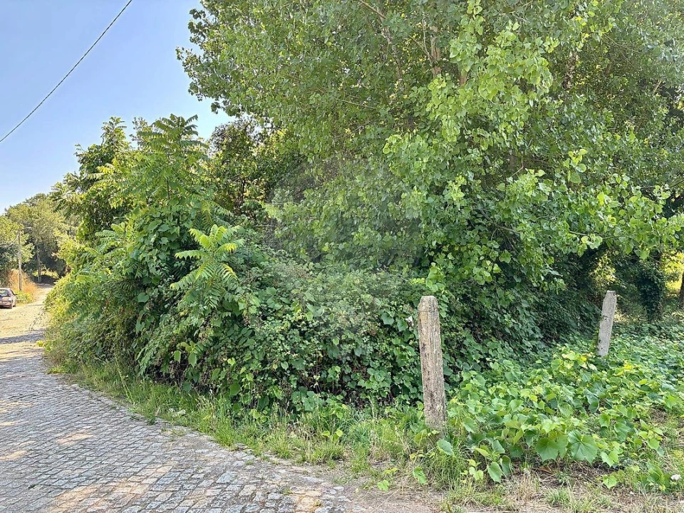 Terreno para Venda em Melres e Medas Foto 6
