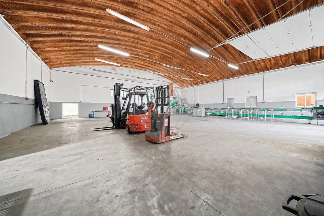 Armazém para Venda em Alenquer (Santo Estêvão e Triana) Foto 1