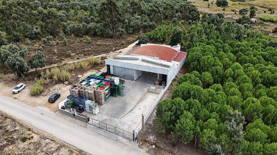 Armazém para Venda em Alenquer (Santo Estêvão e Triana) Foto 28