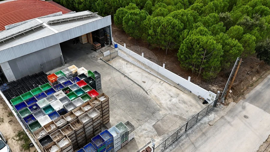 Armazém para Venda em Alenquer (Santo Estêvão e Triana) Foto 29