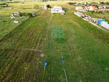 Moradia T5 para Venda em Alpiarça