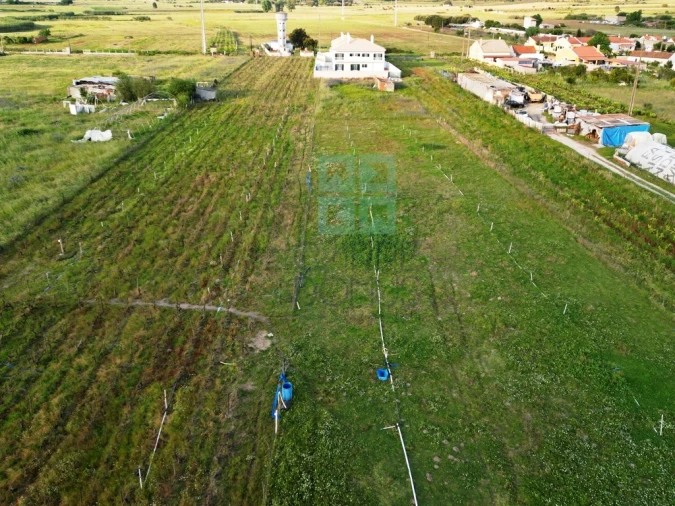 Moradia T5 para Venda em Alpiarça Foto 56