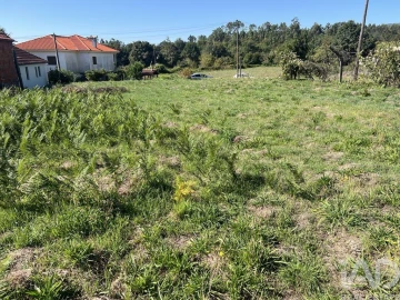Terreno para Venda em Santa Cruz da Trapa e São Cristóvão de Lafões