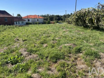 Terreno para Venda em Santa Cruz da Trapa e São Cristóvão de Lafões