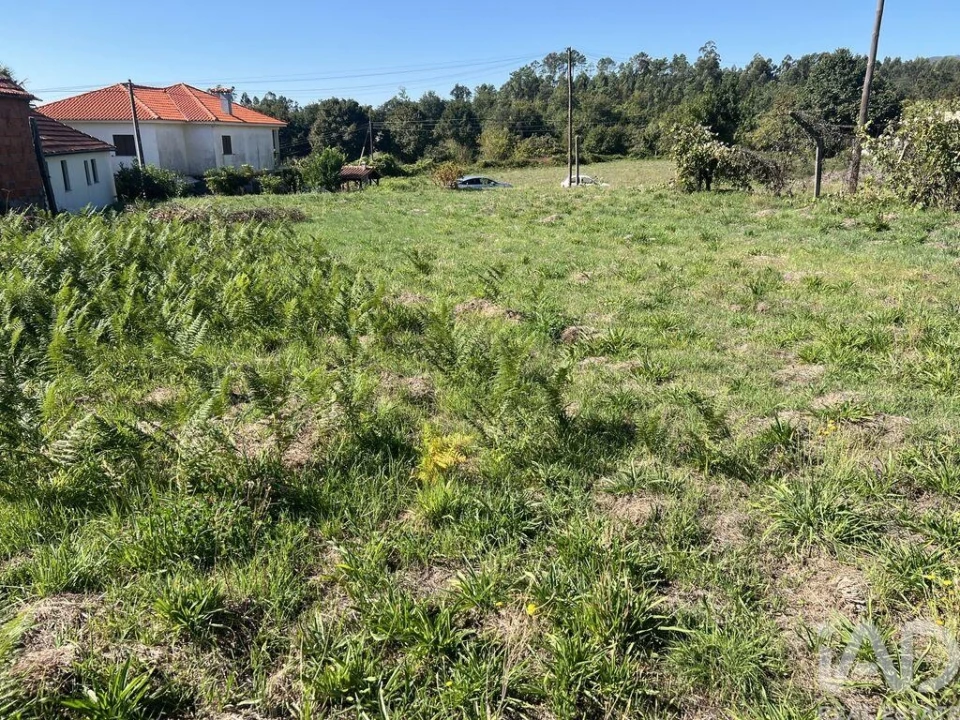 Terreno para Venda em Santa Cruz da Trapa e São Cristóvão de Lafões Foto 4