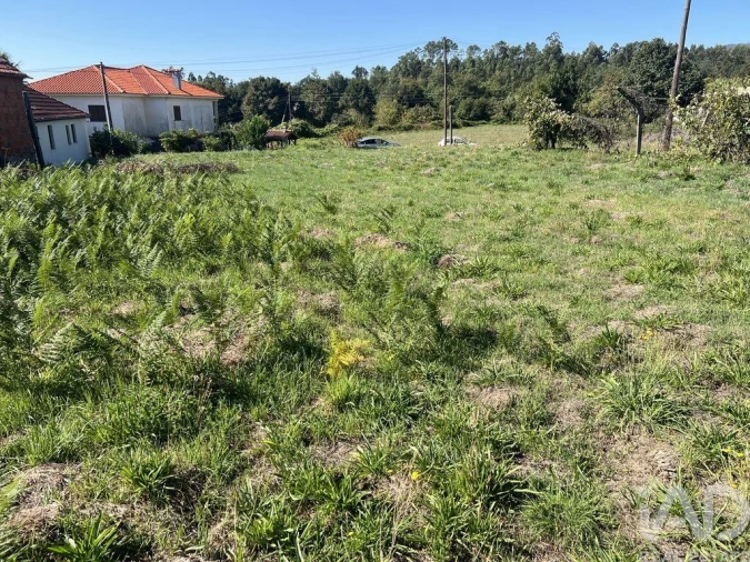 Terreno para Venda em Santa Cruz da Trapa e São Cristóvão de Lafões Foto 4