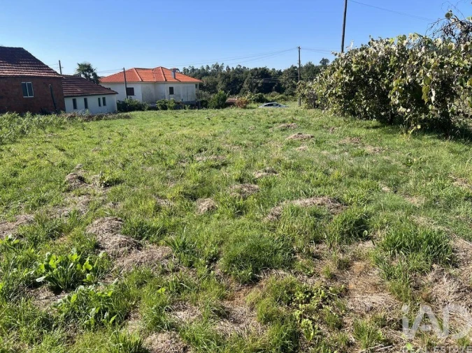 Terreno para Venda em Santa Cruz da Trapa e São Cristóvão de Lafões Foto 3