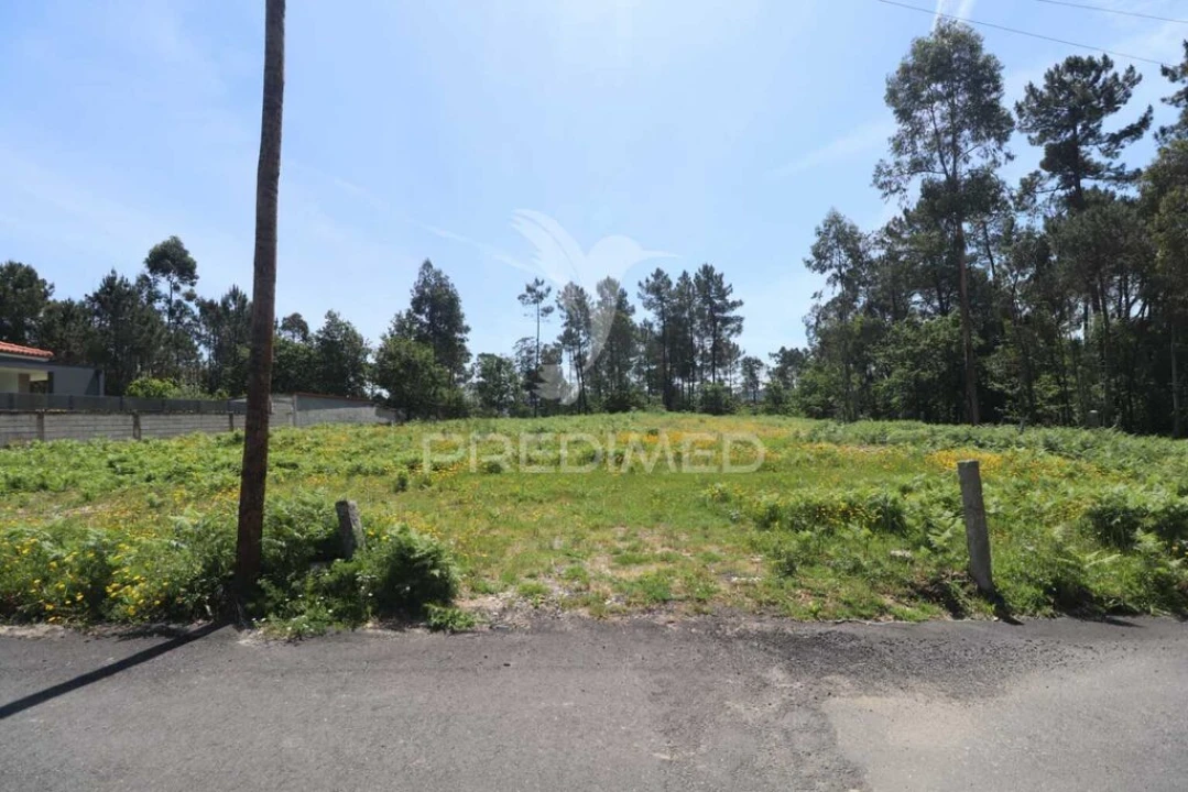 Terreno para Venda em Vila Verde e Barbudo Foto 2