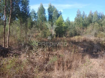 Terreno para Venda em Abela