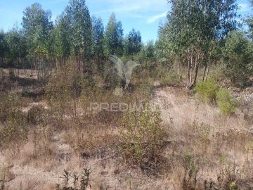 Terreno para Venda em Abela