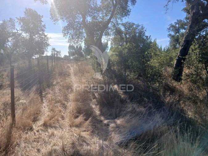 Terreno para Venda em Abela Foto 6