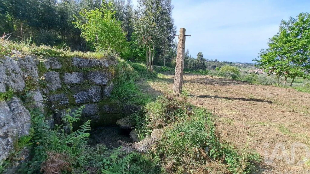 Quinta para Venda em Lagos da Beira e Lajeosa Foto 7