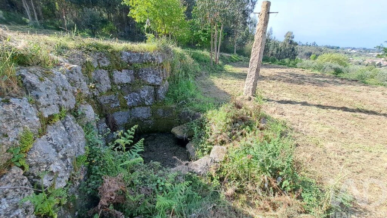 Quinta para Venda em Lagos da Beira e Lajeosa Foto 6