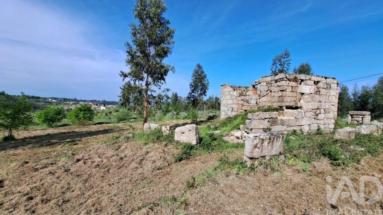 Quinta para Venda em Lagos da Beira e Lajeosa Foto 8