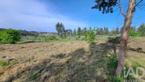 Quinta para Venda em Lagos da Beira e Lajeosa