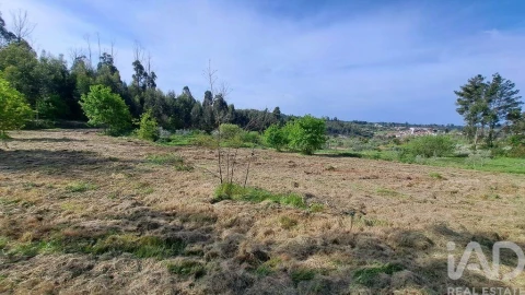 Quinta para Venda em Lagos da Beira e Lajeosa