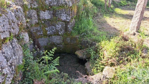 Quinta para Venda em Lagos da Beira e Lajeosa