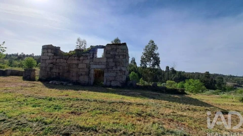 Quinta para Venda em Lagos da Beira e Lajeosa