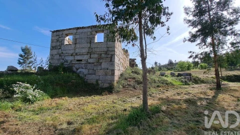 Quinta para Venda em Lagos da Beira e Lajeosa