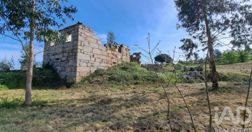Quinta para Venda em Lagos da Beira e Lajeosa
