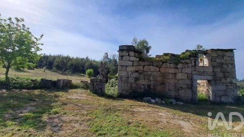 Quinta para Venda em Lagos da Beira e Lajeosa