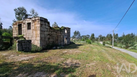 Quinta para Venda em Lagos da Beira e Lajeosa