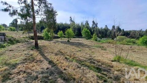 Quinta para Venda em Lagos da Beira e Lajeosa