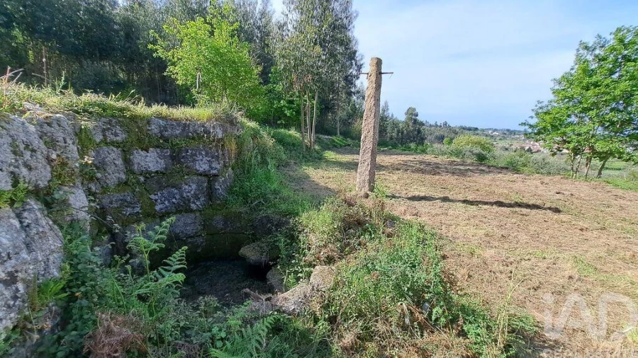 Quinta para Venda em Lagos da Beira e Lajeosa Foto 7