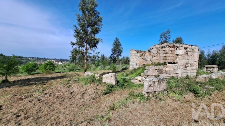 Quinta para Venda em Lagos da Beira e Lajeosa Foto 8