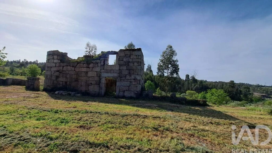 Quinta para Venda em Lagos da Beira e Lajeosa Foto 19
