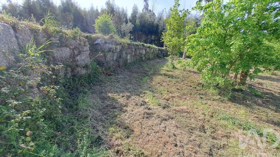 Quinta para Venda em Lagos da Beira e Lajeosa Foto 9