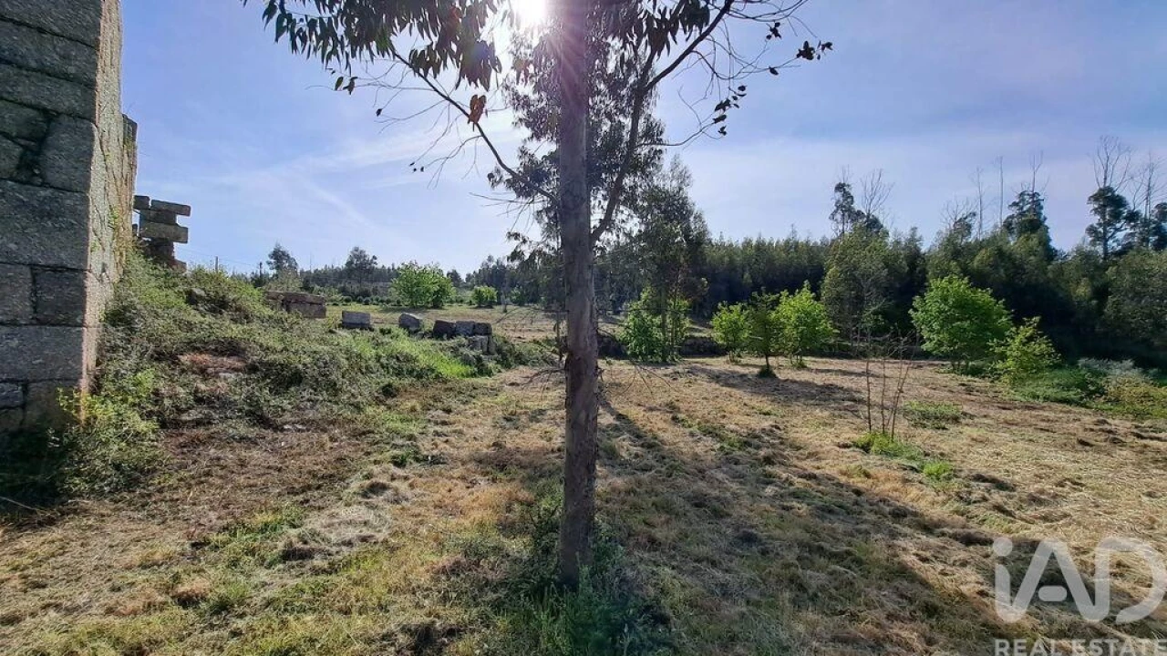Quinta para Venda em Lagos da Beira e Lajeosa Foto 3