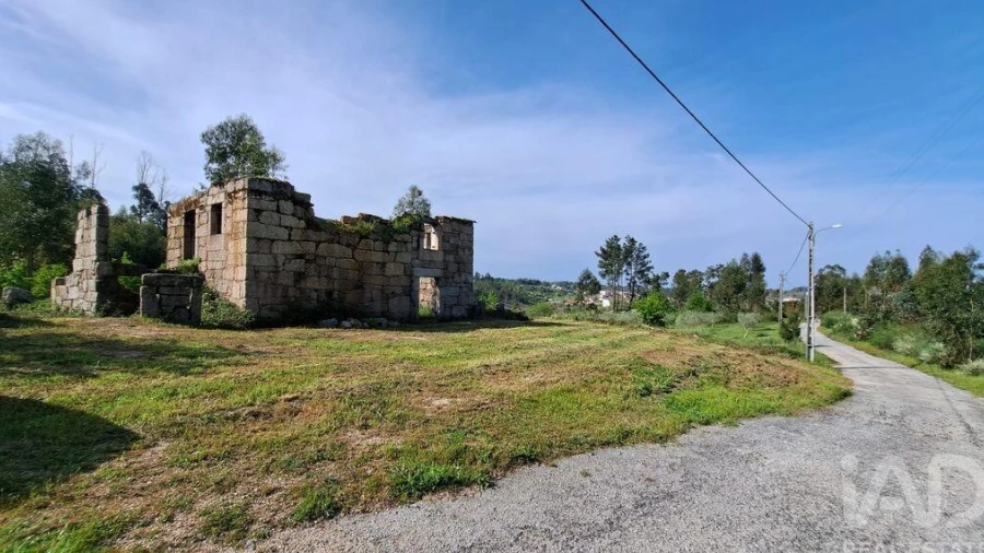 Quinta para Venda em Lagos da Beira e Lajeosa