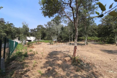 Terreno para Venda em Turiz