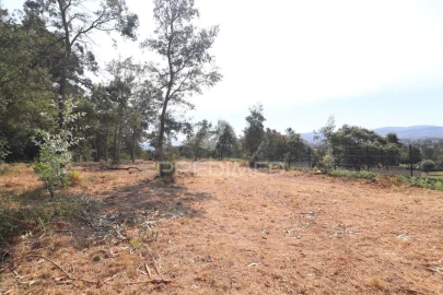 Terreno para Venda em Turiz
